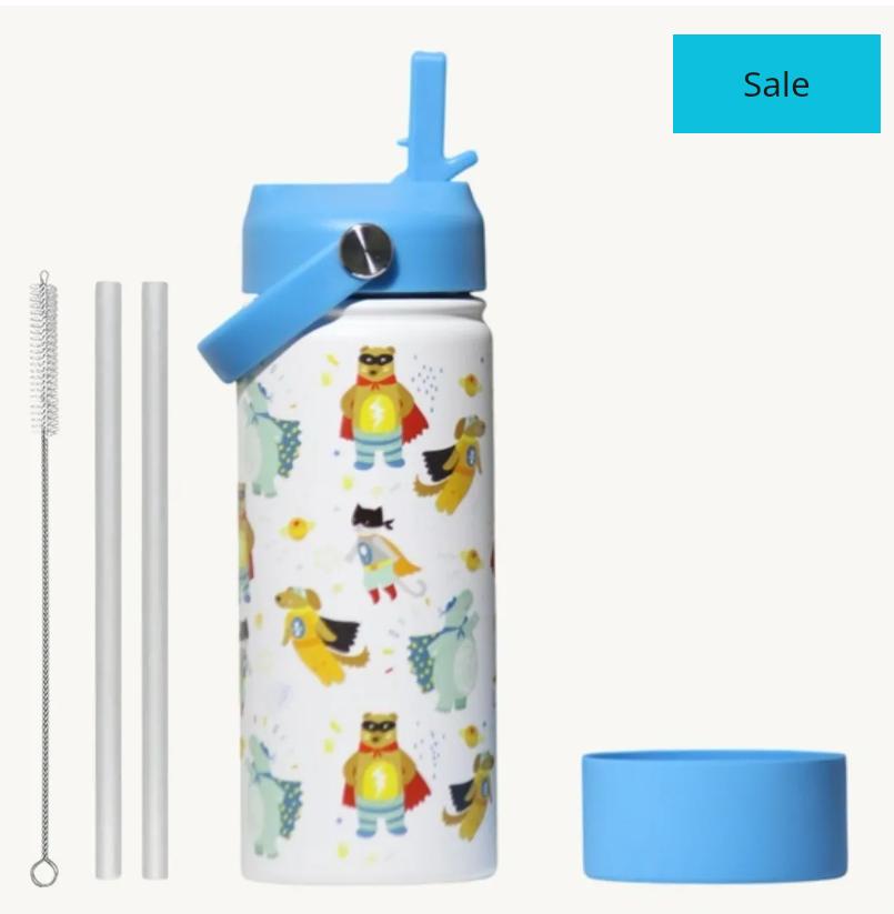 Kids Insulated Water Bottle with Straw - Superhero Animals