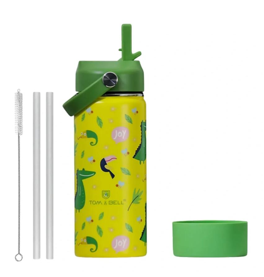 Kids Insulated Water Bottle with Straw - Happy Dinosaurs