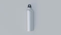 Sleek Silver Metallic Aluminum Water Bottle with Loop Cap