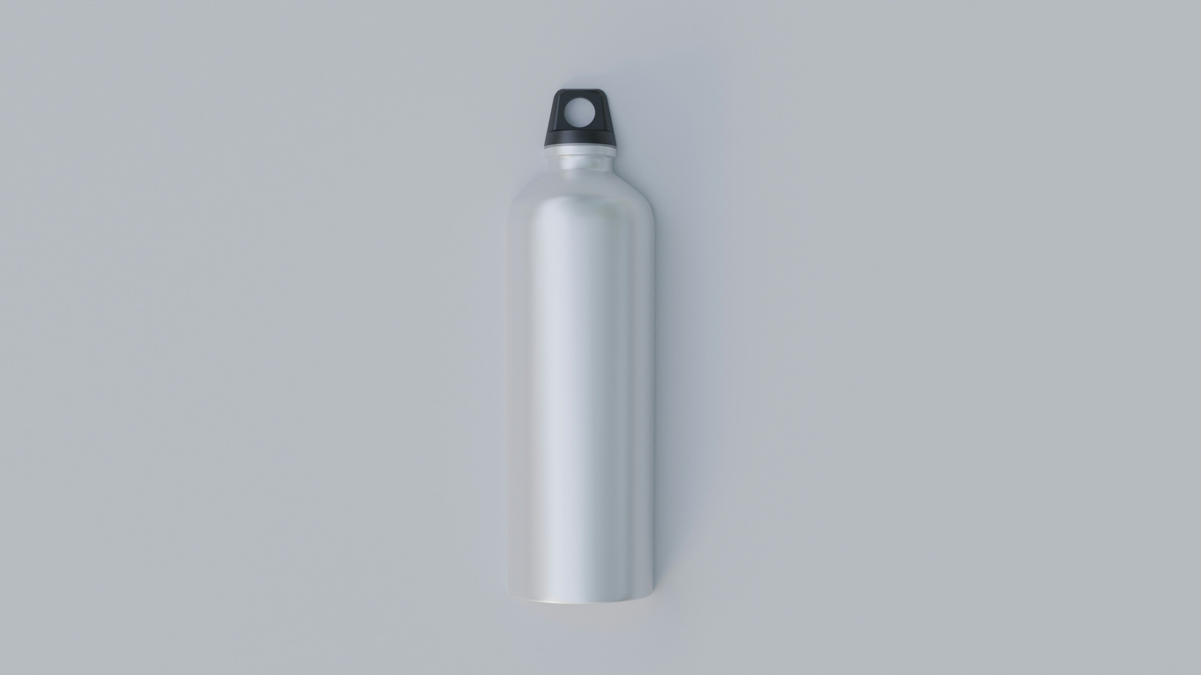 Sleek Silver Metallic Aluminum Water Bottle with Loop Cap